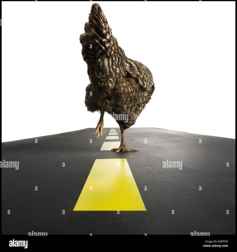 Descubre la Experiencia de Azar con Chicken Road 2 en España in Spain