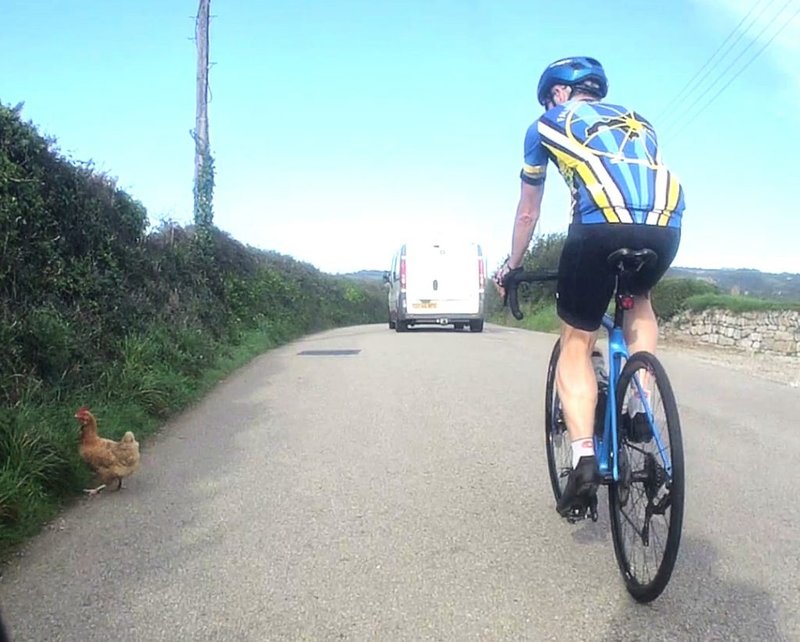 Descubre el misterio del Camino de la Pollo en las salas de juego de España - overview