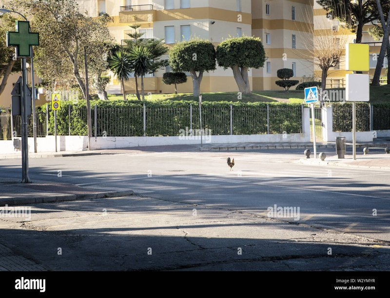 Descubre el Nuevo Juego de Casino: Chicken Road 2 en Línea - overview